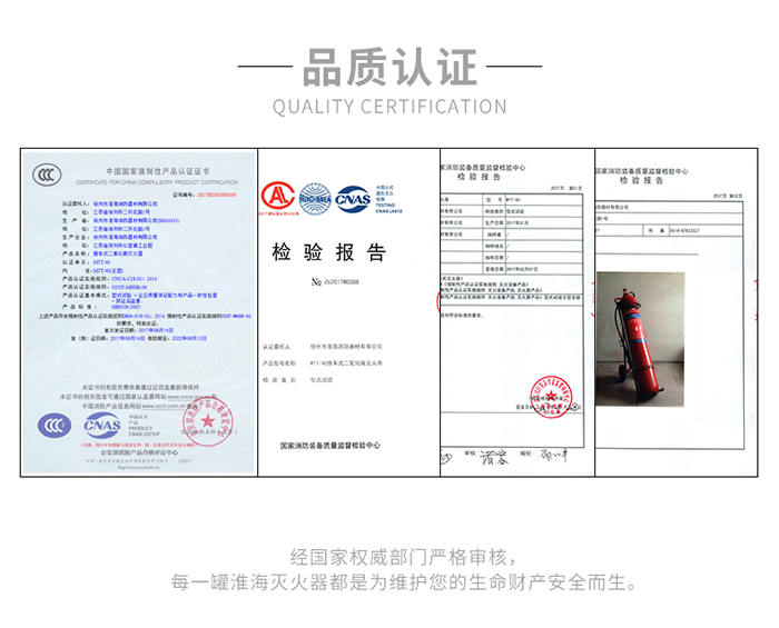 推車二氧化碳滅火器檢測報告.jpg