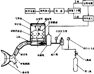 低阻力供氣呼吸器系統示意圖.png