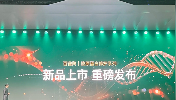 发布会 / 展会舞台检测